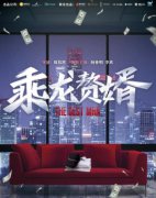 乘龙赘婿