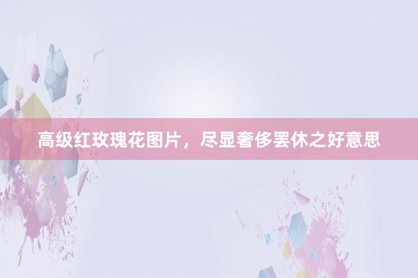 高级红玫瑰花图片,尽显奢侈罢休之好意思