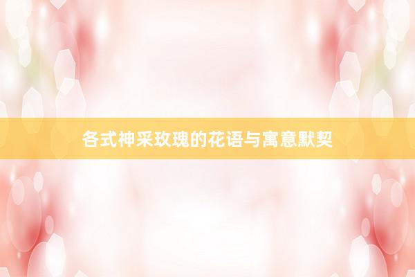 各式神采玫瑰的花语与寓意默契