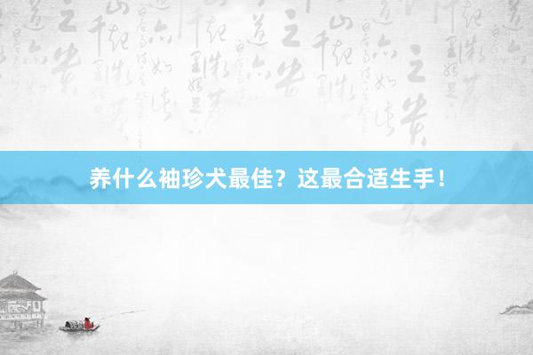 养什么袖珍犬最佳？这最合适生手！