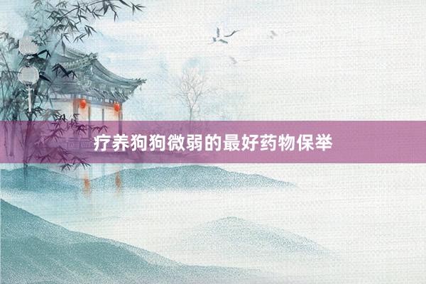 疗养狗狗微弱的最好药物保举